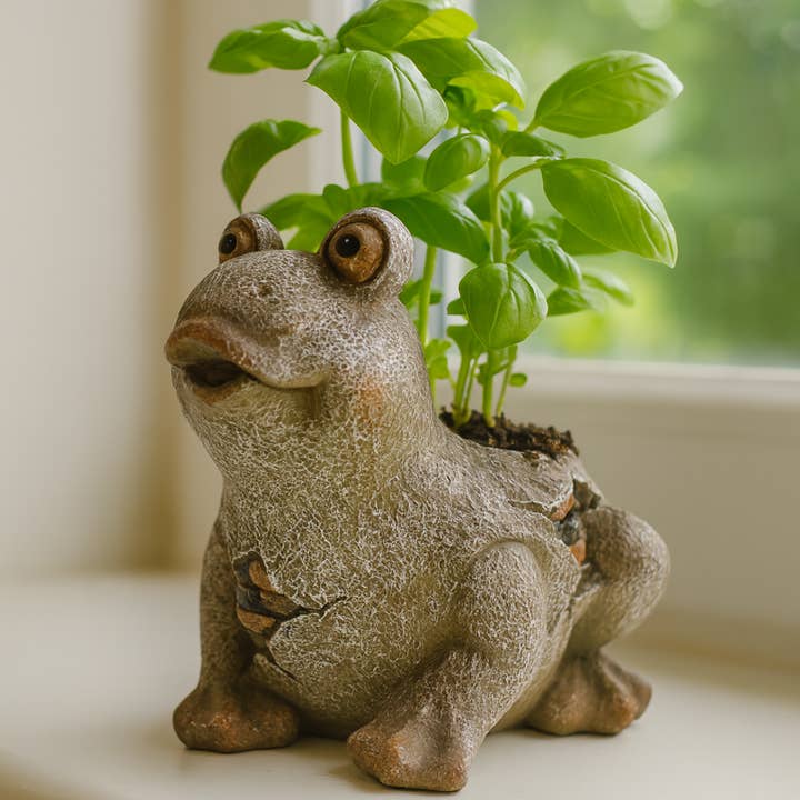 Mini Frog Planter for wholesale by RCS Gifts