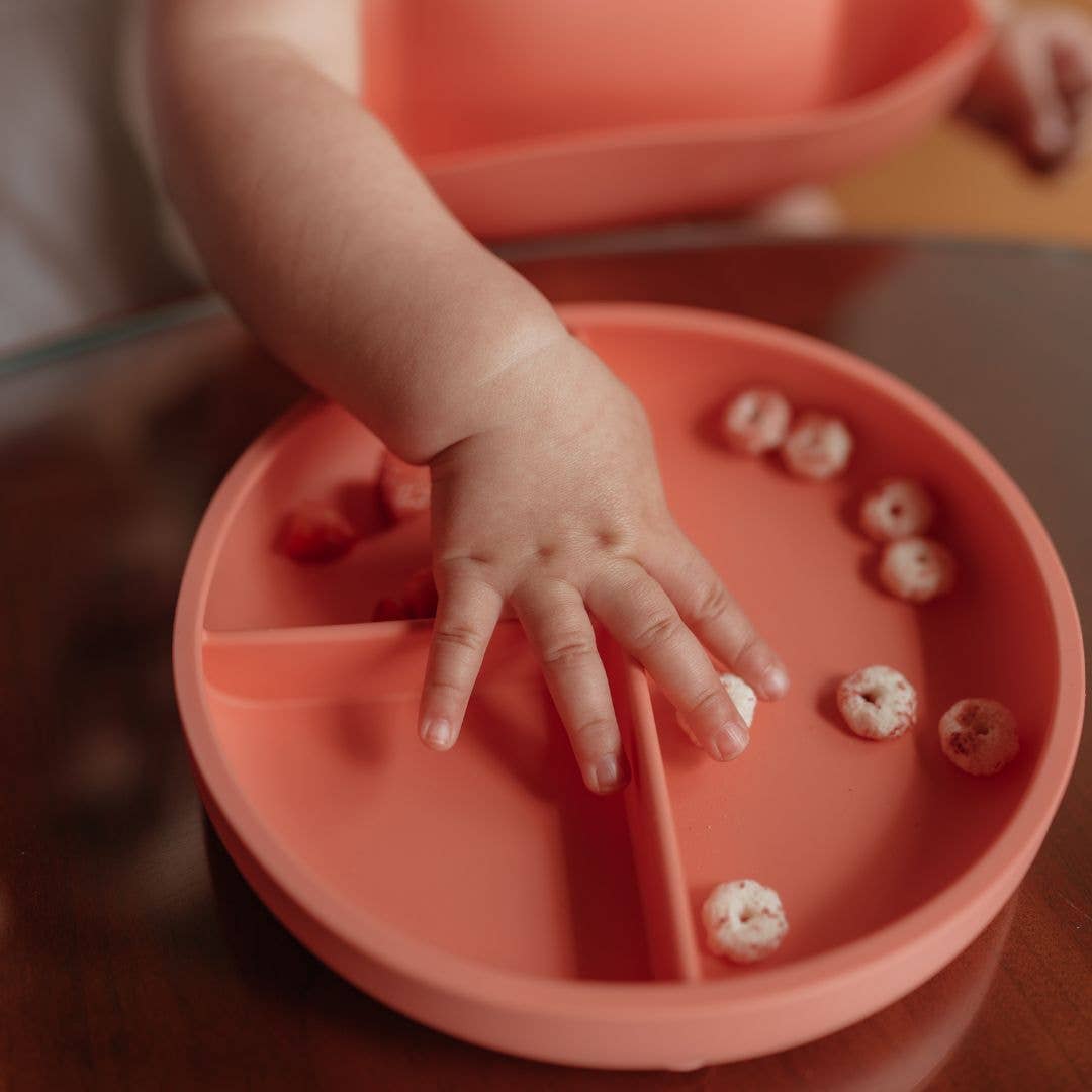 OB Designs - Wholesale Dinner Plate - Kids & Baby - Suction Divider Plate & Spoon Set8