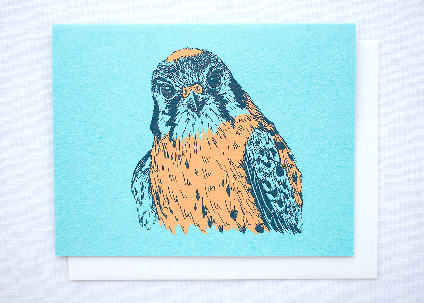 Farm and Finch Creative - Wholesale Everyday Greeting Card - American Kestrel Card1