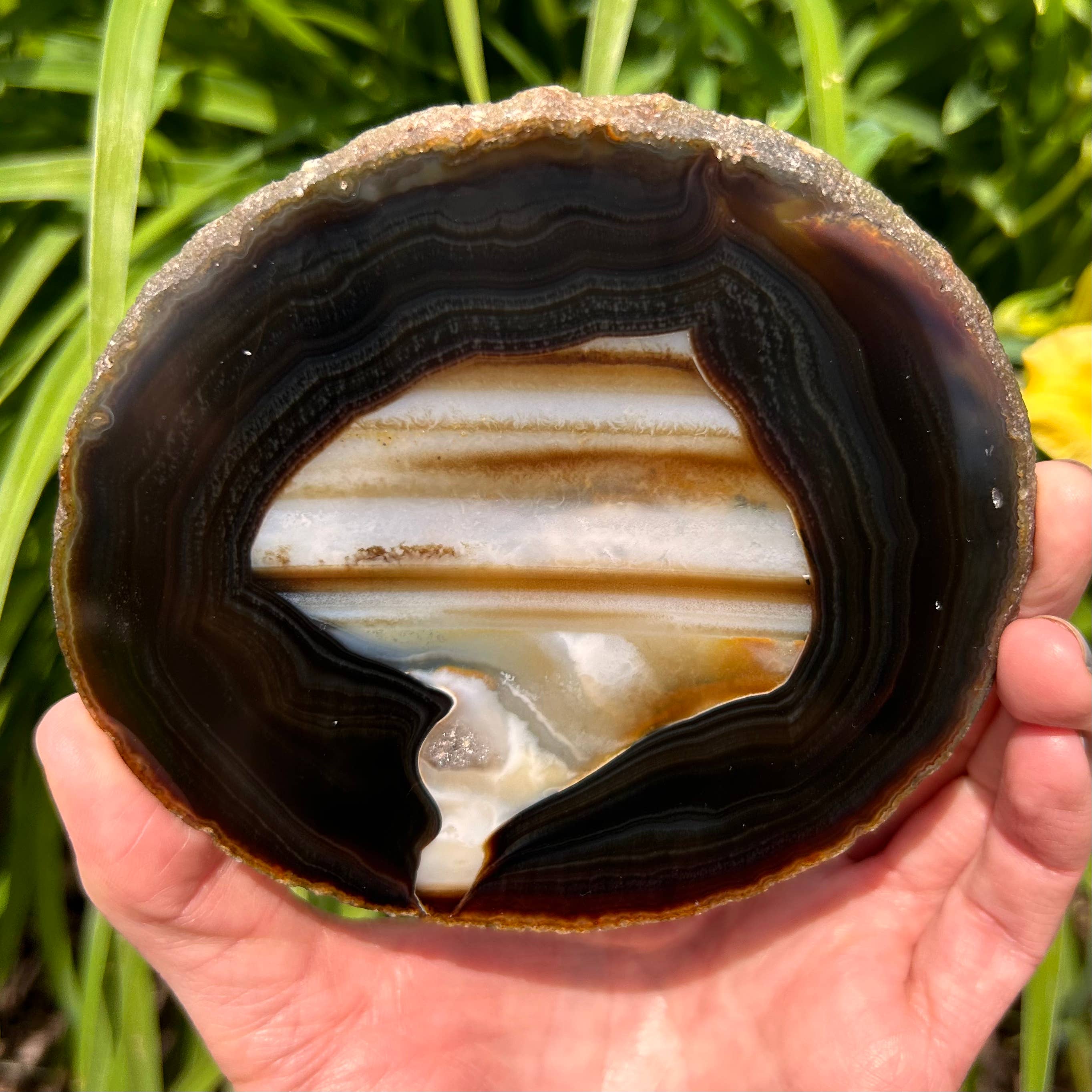 Quasar Gems USA - Vendita all'ingrosso Pietra/cristallo spirituale - Fette di Agata colorate12