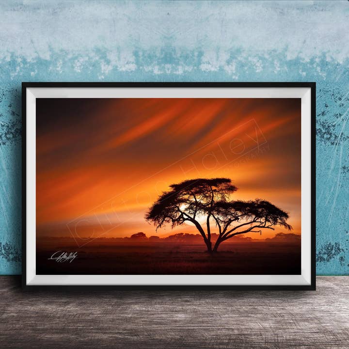 Kenya Wildlife Wall Art | Maasai Mara for wholesale by Clifton Haley Photography