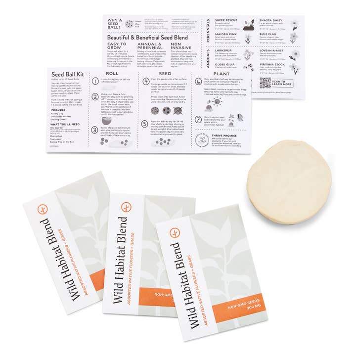 Modern Sprout - Wholesale DIY Craft Kit - DIY Seed Ball Kit