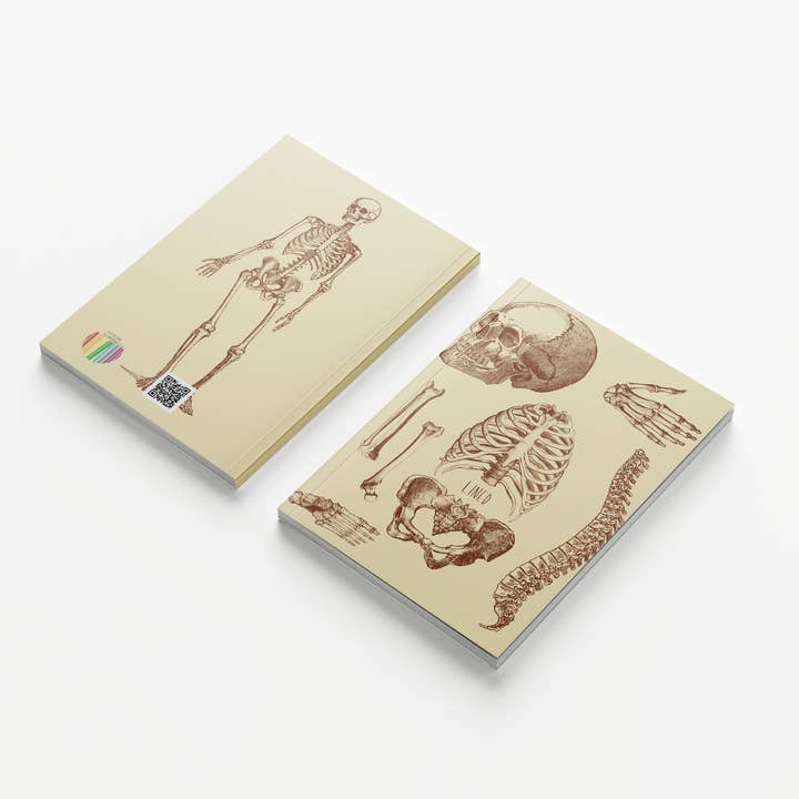 Bones Notebook for wholesale by Charlie's Bookstore