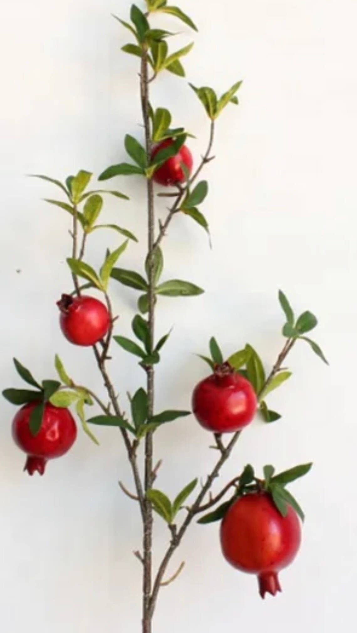 Journey Decor - Wholesale Artificial Plant - Artificial 21" Pomegranate Stem0
