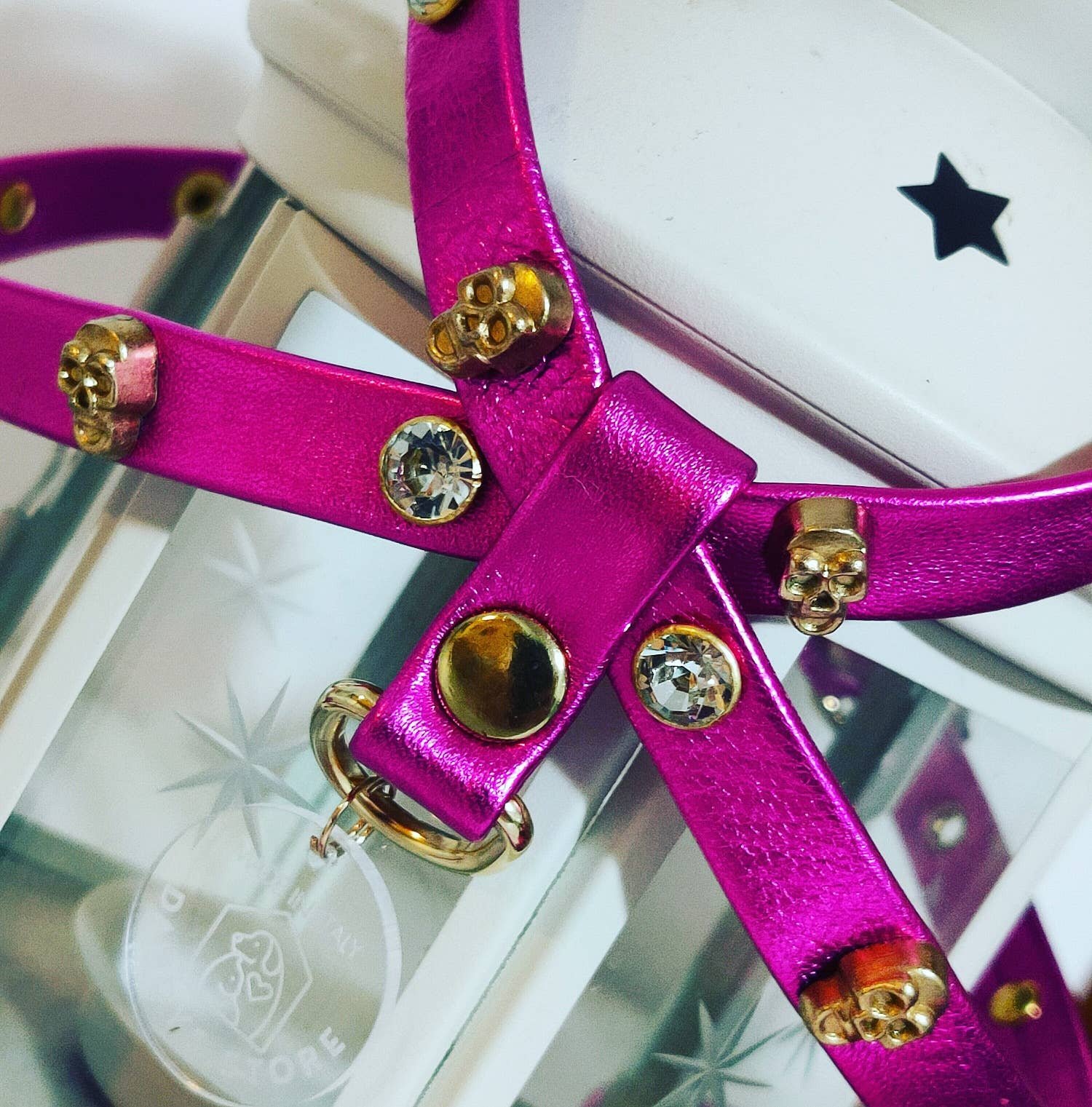 Dandy’s Store - Wholesale Pet Harness - Dog - Dog Harness Set | Genuine Tuscan Leather| Dandy's Store2