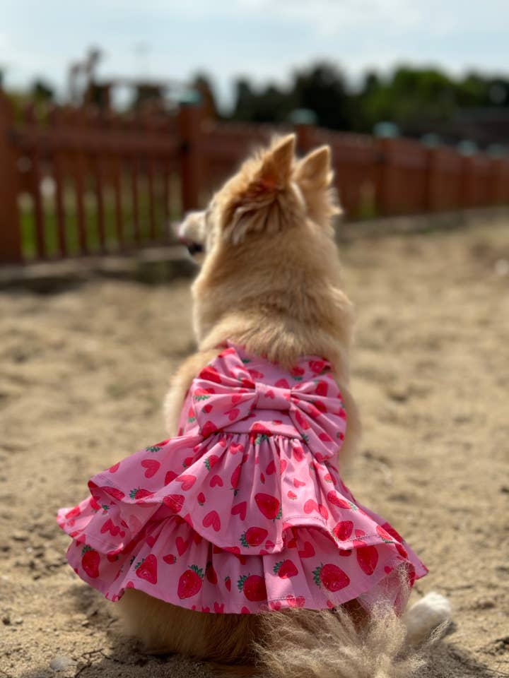 LOVE Collection - Adorable Pet Overalls with Tulle Skirts, M for wholesale by only-pets