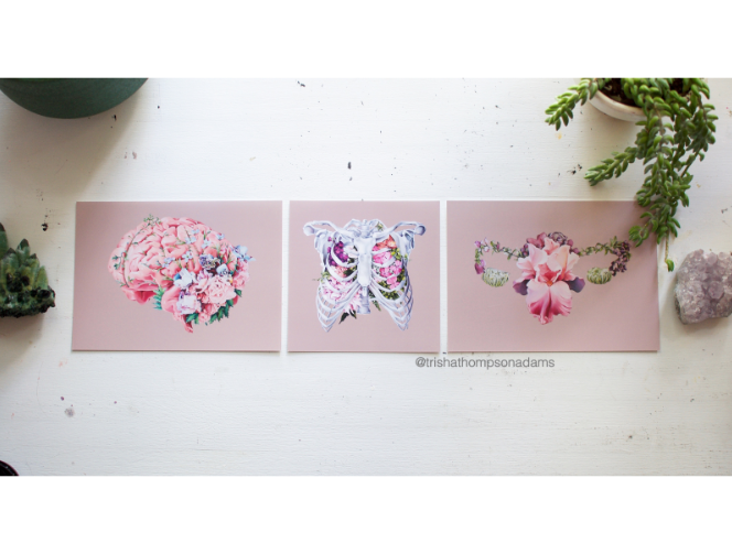 Trisha Thompson Adams - Wholesale Art Print - Floral Brain Flower Anatomy Art Print2