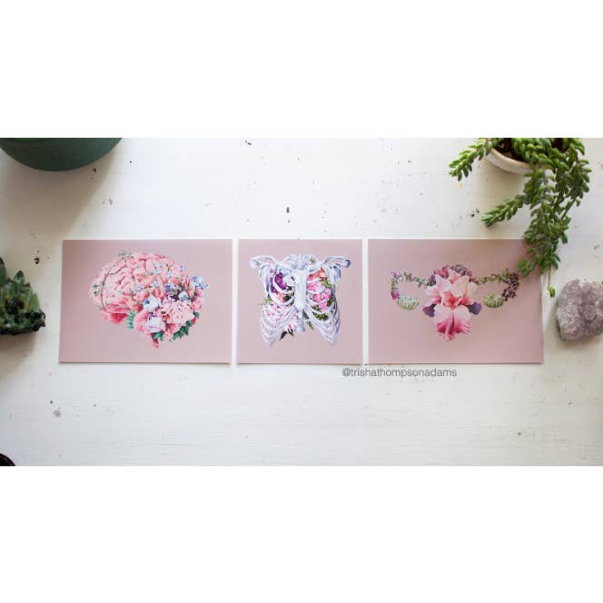 Trisha Thompson Adams - Wholesale Art Print - Floral Brain Flower Anatomy Art Print2