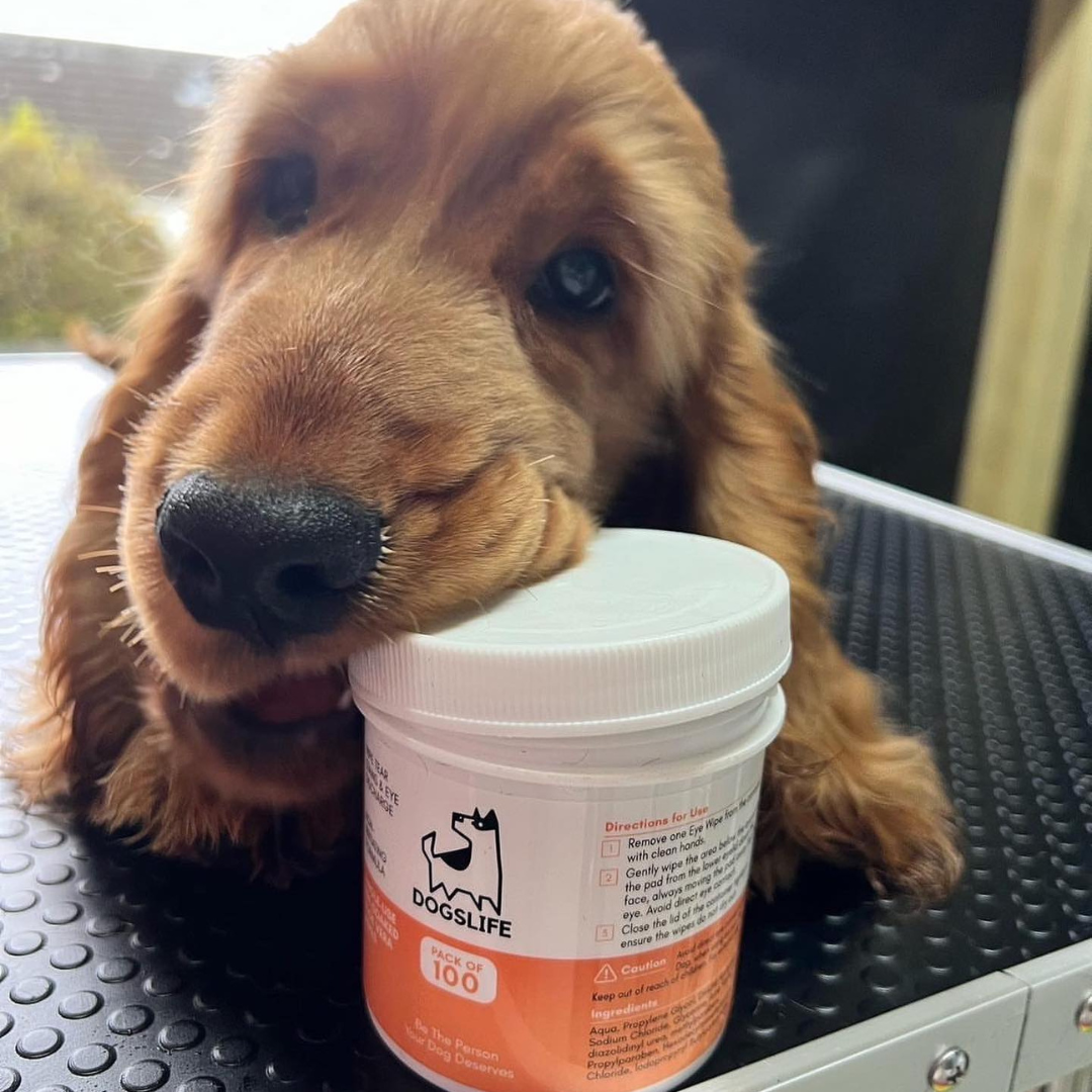 OurPetsLife - Venta al por mayor Artículo de aseo para mascotas - Perros - Toallitas para ojos para perros2