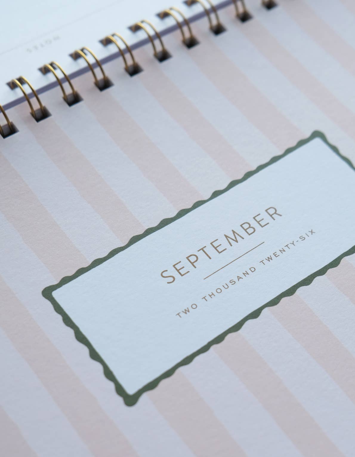 Idlewild Co. - Wholesale Planner - 2026 Desktop Planner, Block Print Stripe6