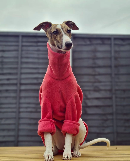 Bella Katee Pets – wholesale Pet coat – Dog – Sighthound water resistant fleece - blue shades with sleeves4