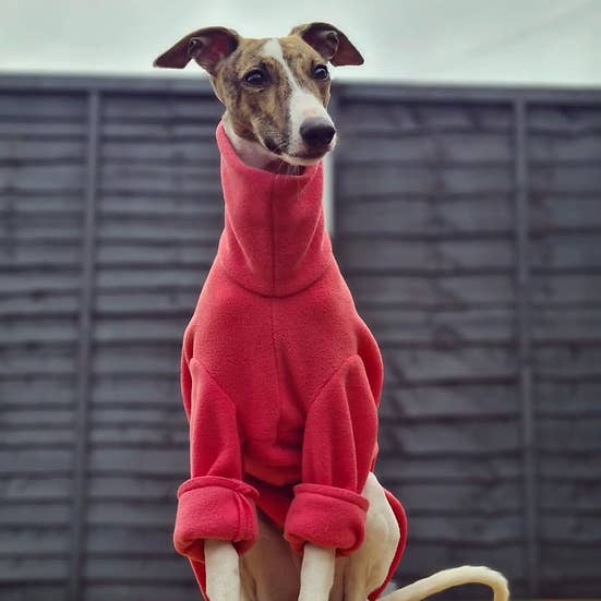 Bella Katee Pets – wholesale Pet coat – Dog – Sighthound water resistant fleece - blue shades with sleeves4