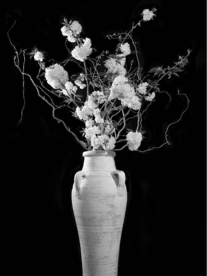 FLEURS DE CERISIER N&B | NOUVEAU pour la vente par Talfoto Studio