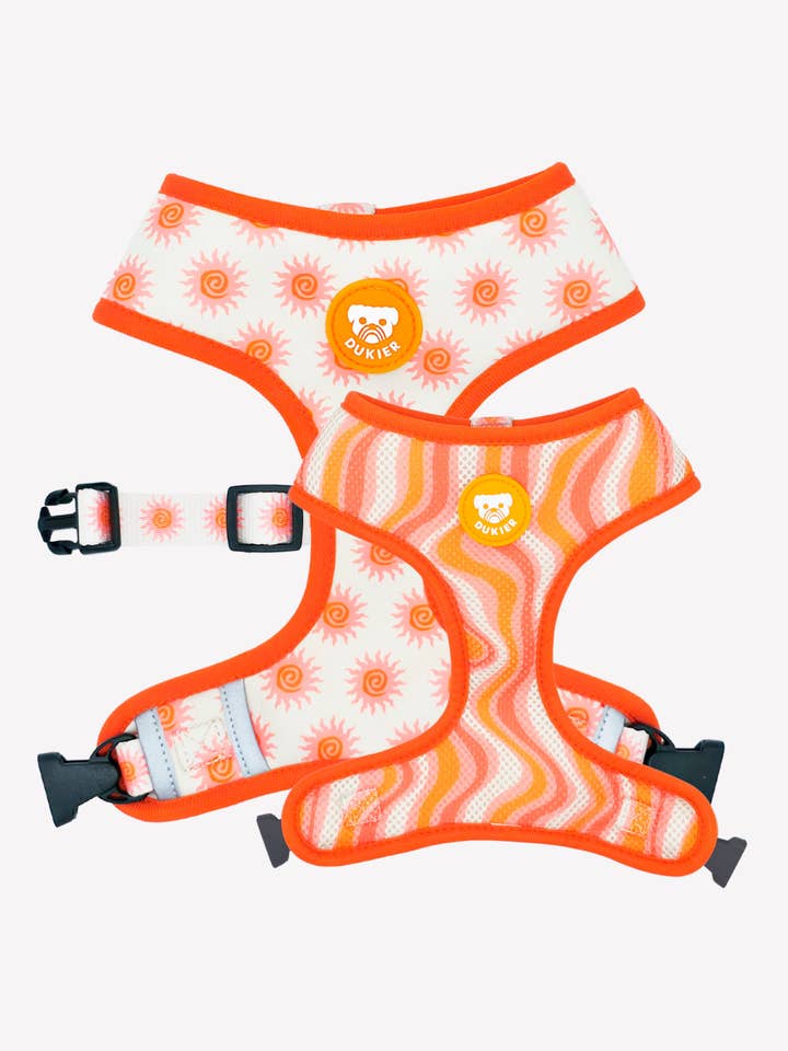 HARNAIS RÉVERSIBLE POUR CHIEN SUN pour la vente par Dukier
