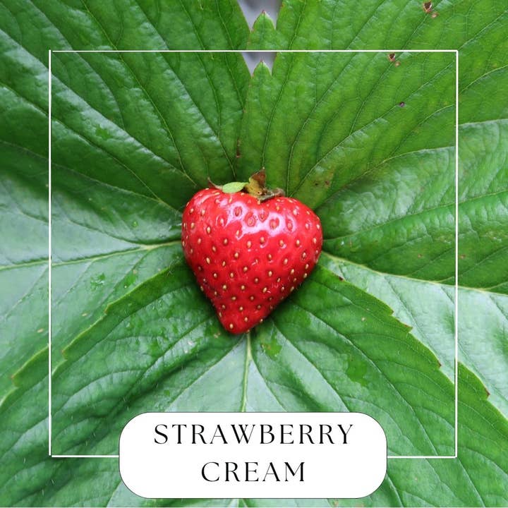 Strawberry Cream Hanging Reed Diffuser for wholesale by Made by Charlee