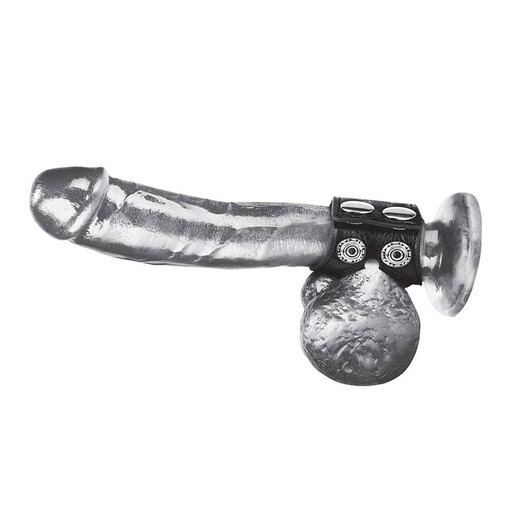 Lux Fetish Store - Vendita all'ingrosso Sex toy - Anello da 3,8 cm con cinturino a sfera2