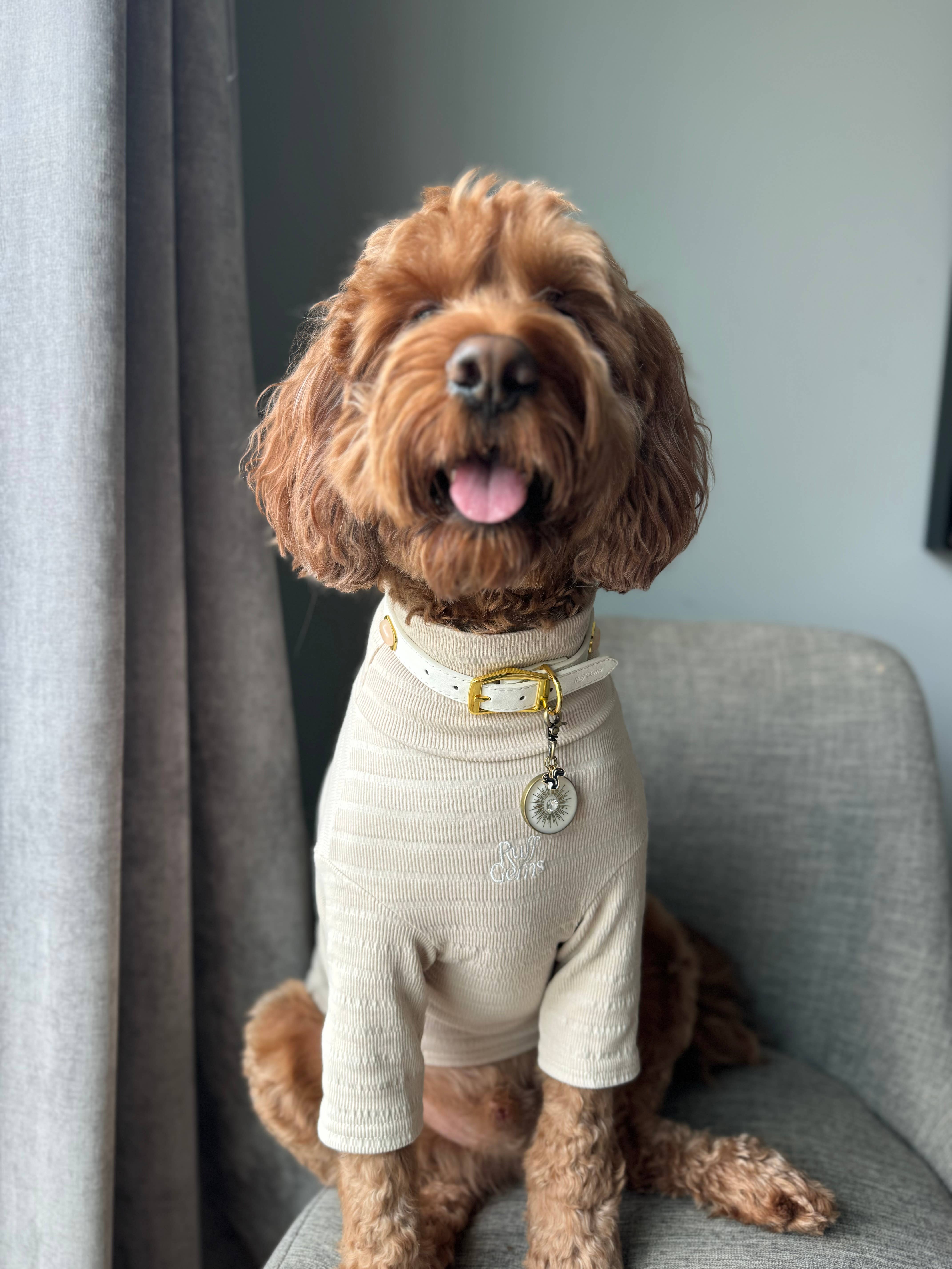 Ruff Gems Co - Wholesale Pet Shirt - Dog - Ultra Comfortable Luxury Dog Ribbed Stretch T Shirt9