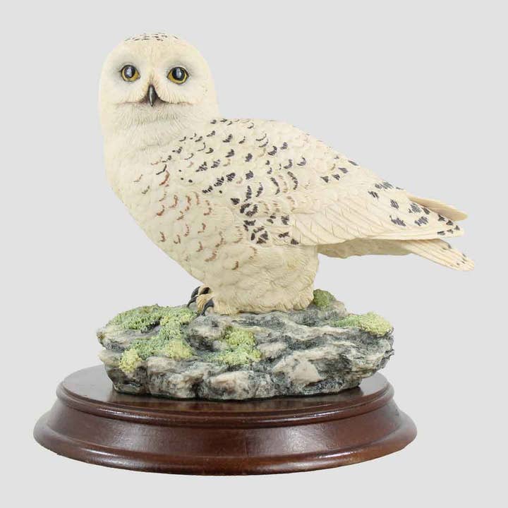 Plinth - Snowy Owl Style One Border Fine Arts Birds for wholesale by Grays 1922
