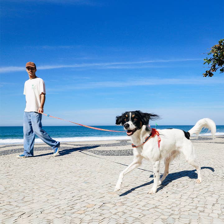 Zee.Dog - Wholesale Pet Leash - Dog - Drago | Long Leash1