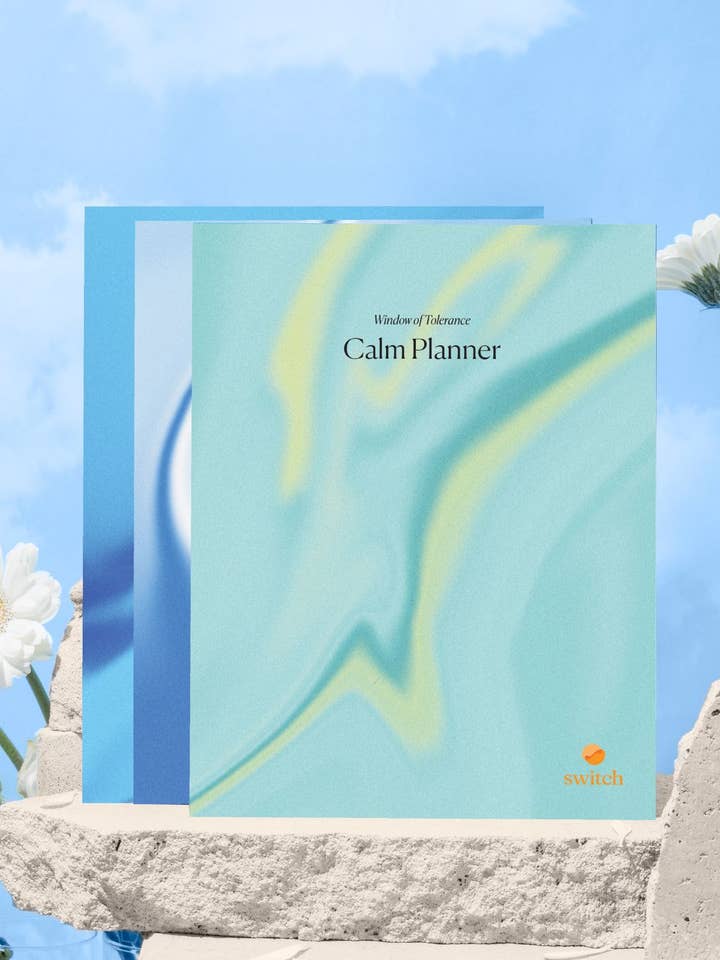 Calm Planner Bundle - 3-Pack for wholesale by Switch Research