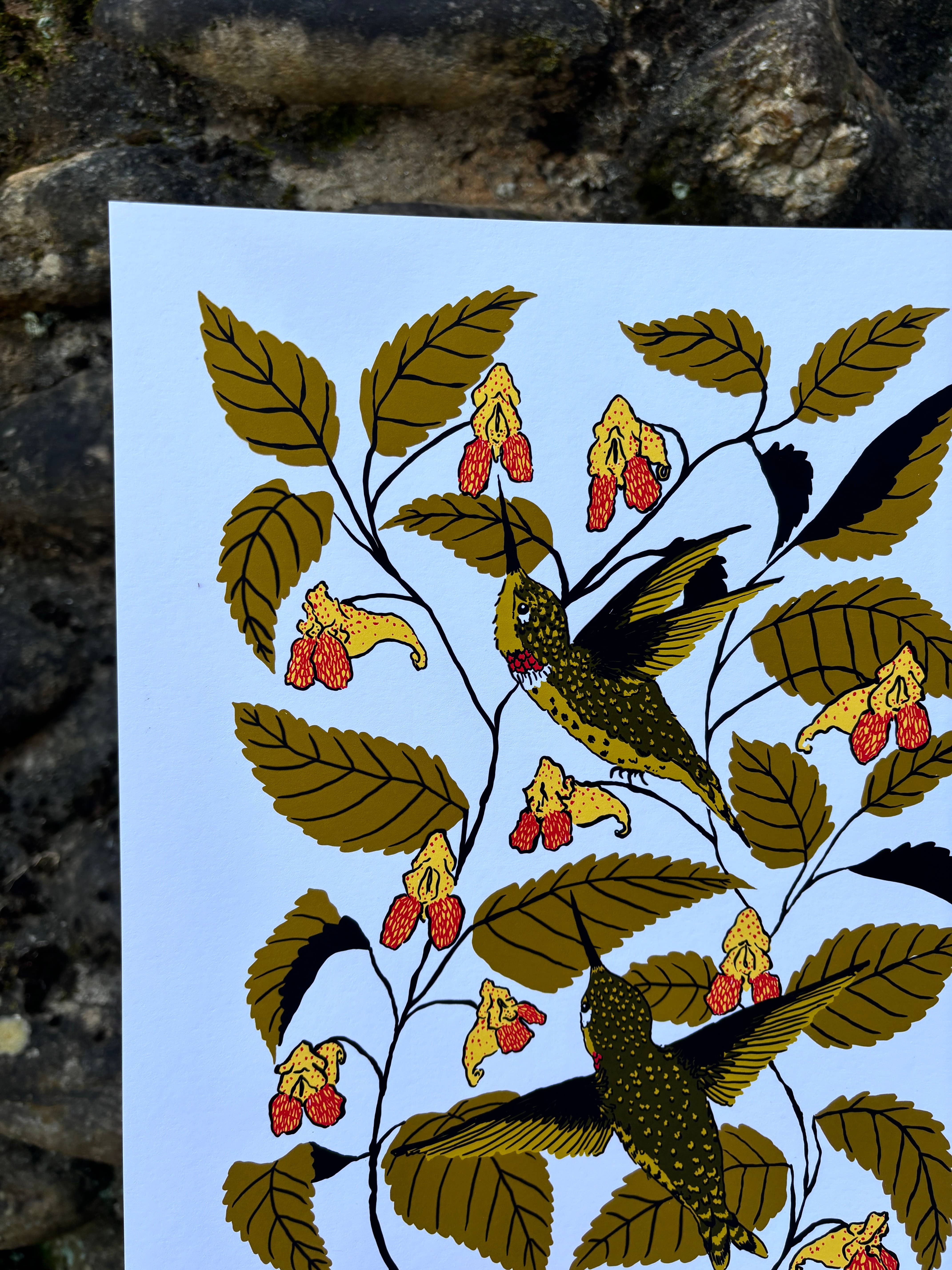 Needlebone, LLC - Wholesale Art Print - Jewelweed - 14x11 Print2