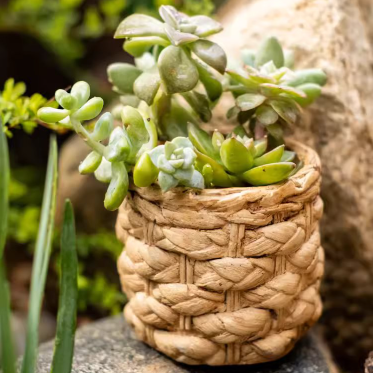 Rustic Reach - Wholesale Plant Pot - Grass Woven Looking Cement Planter5