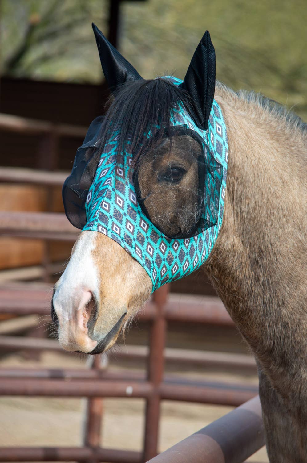 Schulz Equine - Wholesale Horseback Riding Gear - Lycra Fly Mask22