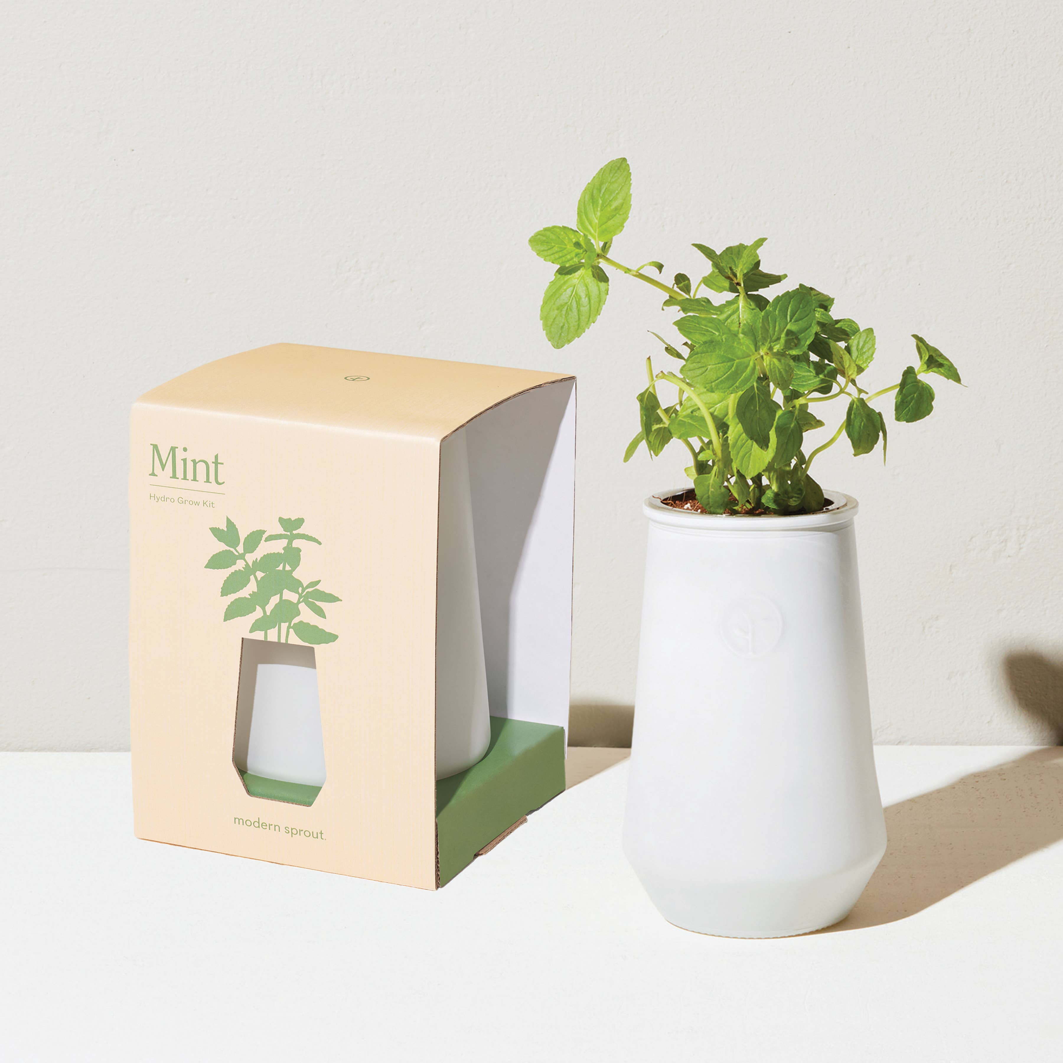 Modern Sprout - Wholesale Plant Pot - Tapered Tumbler2