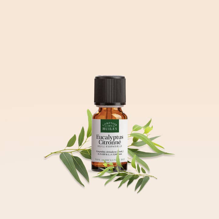 COMPTOIR DES HUILES - Wholesale Essential Oil - Lemon Eucalyptus Essential Oil ORGANIC