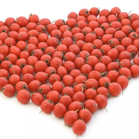 Astraphytos - Phytomars - Wholesale Oral Supplement/Vitamin - Fructus Crataegi Bio (Hawthorn) Astraphytos Ampoules1