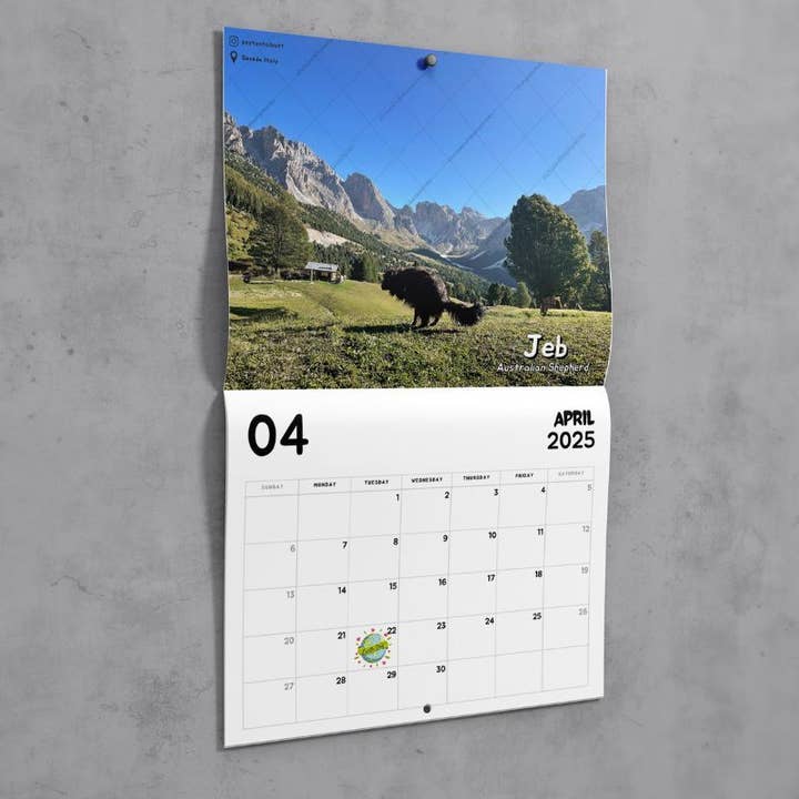 ShutUpAndTakeMyMoney - Wholesale Calendar - Dogs Pooping in Beautiful Placesâ„¢ 2025 Calendar - Gag Gift