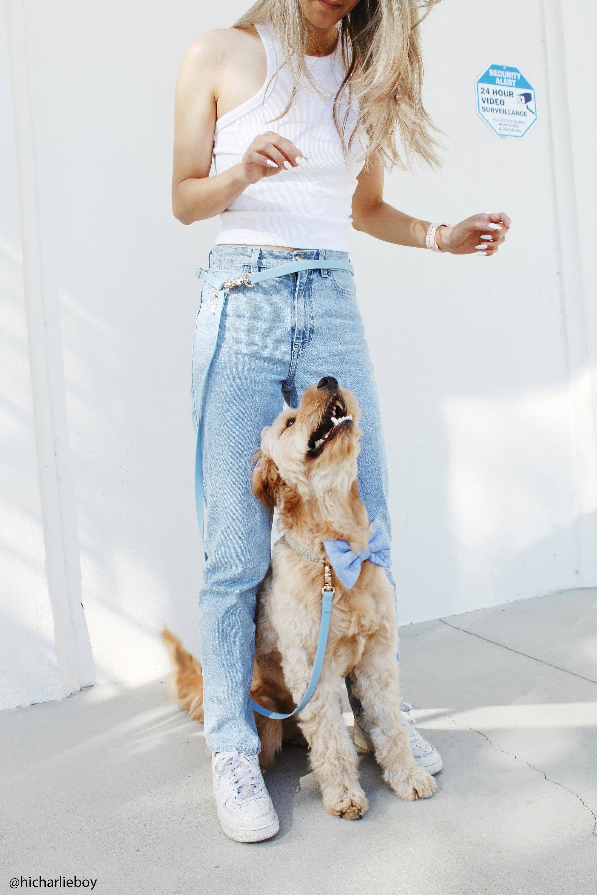 SUNNY TAILS - Wholesale Pet Leash - Dog - Meadow Green 4-in-1 Convertible Hands Free Cloud Dog Leash8