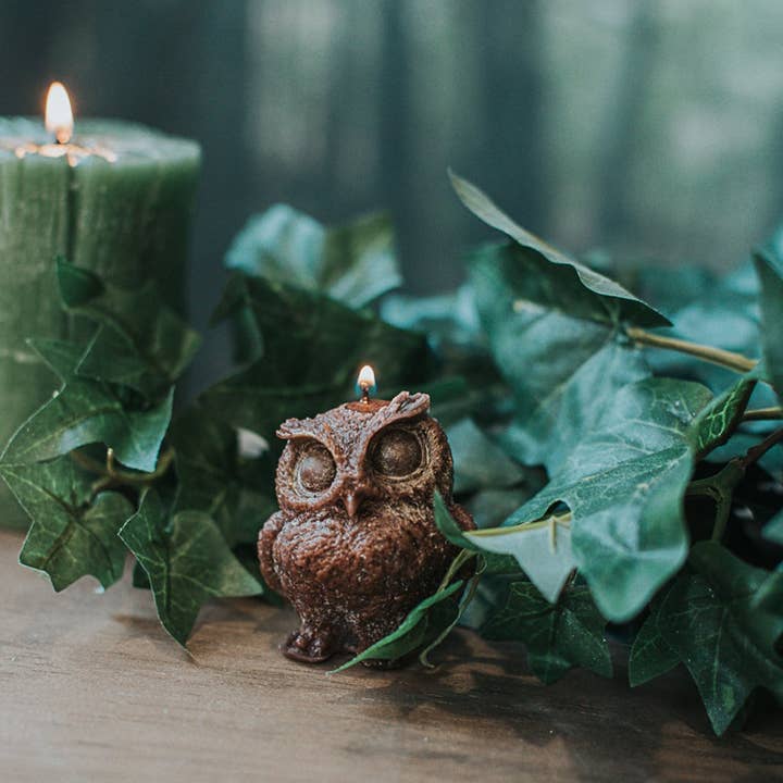 Costurero Real - Vendita all'ingrosso Candele regalo - Cottagecore, candela marrone a forma di gufo, profumo di frutti di bosco3