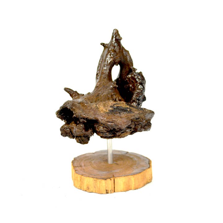 Natural Dark Driftwood Sculpture 4-6" Natural, Wood Stand for wholesale on Faire4