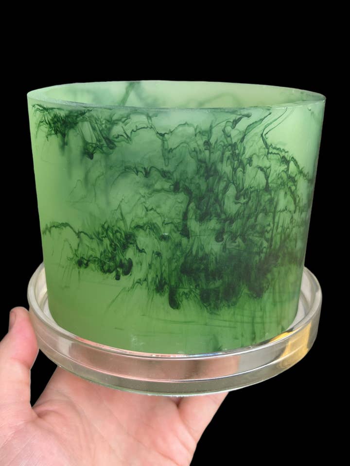 Maceta - Verde monocromática para venta al por mayor de Terrestrial