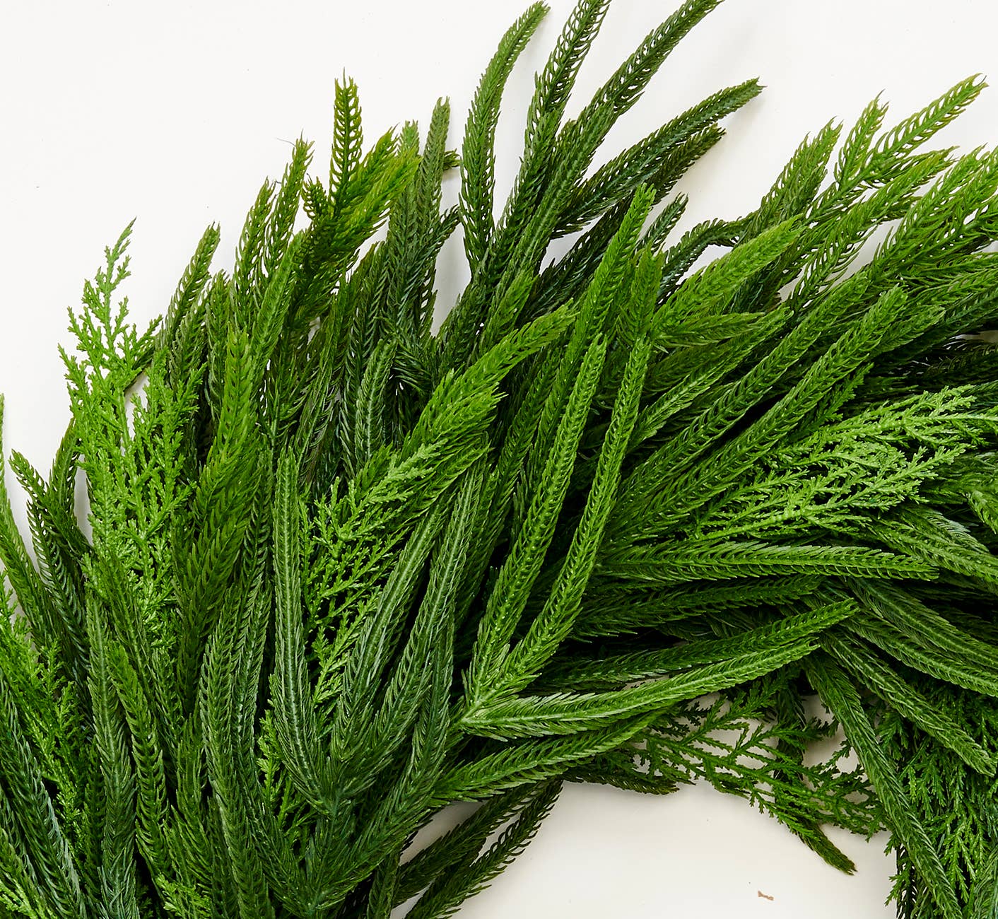 WORTH IMPORTS - Vente Couronne - Couronne de cèdre de 25 po sur base en brindille naturelle1