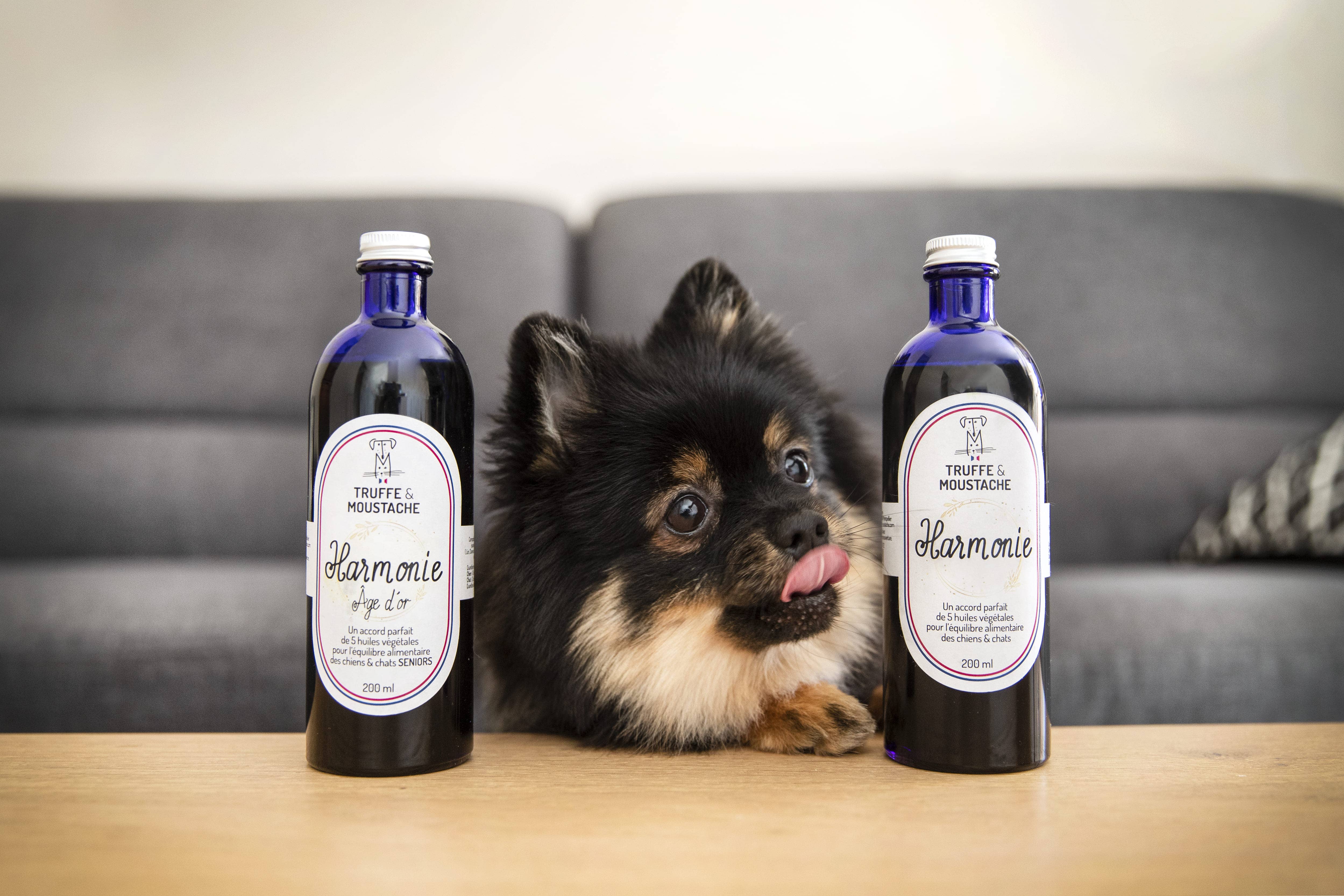 Truffe & Moustache - Wholesale Pet Supplement - Cat/Dog - Vegetable oil for dogs & cats, Omega 3 and 6, “Harmony”7