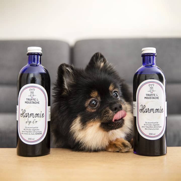 Truffe & Moustache - Wholesale Pet Supplement - Cat/Dog - Vegetable oil for dogs & cats, Omega 3 and 6, “Harmony”7