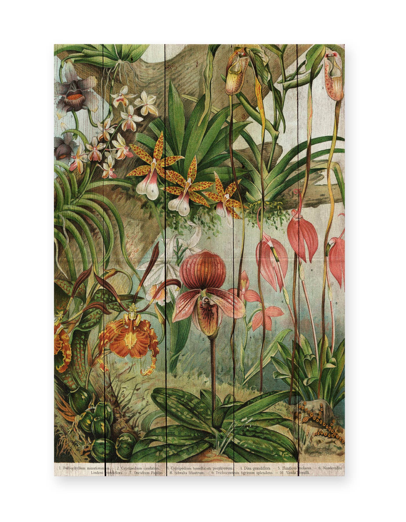 Really Nice Things - Vente Plaque murale - Panneau décoratif bois 60x40 jungle de fleurs0