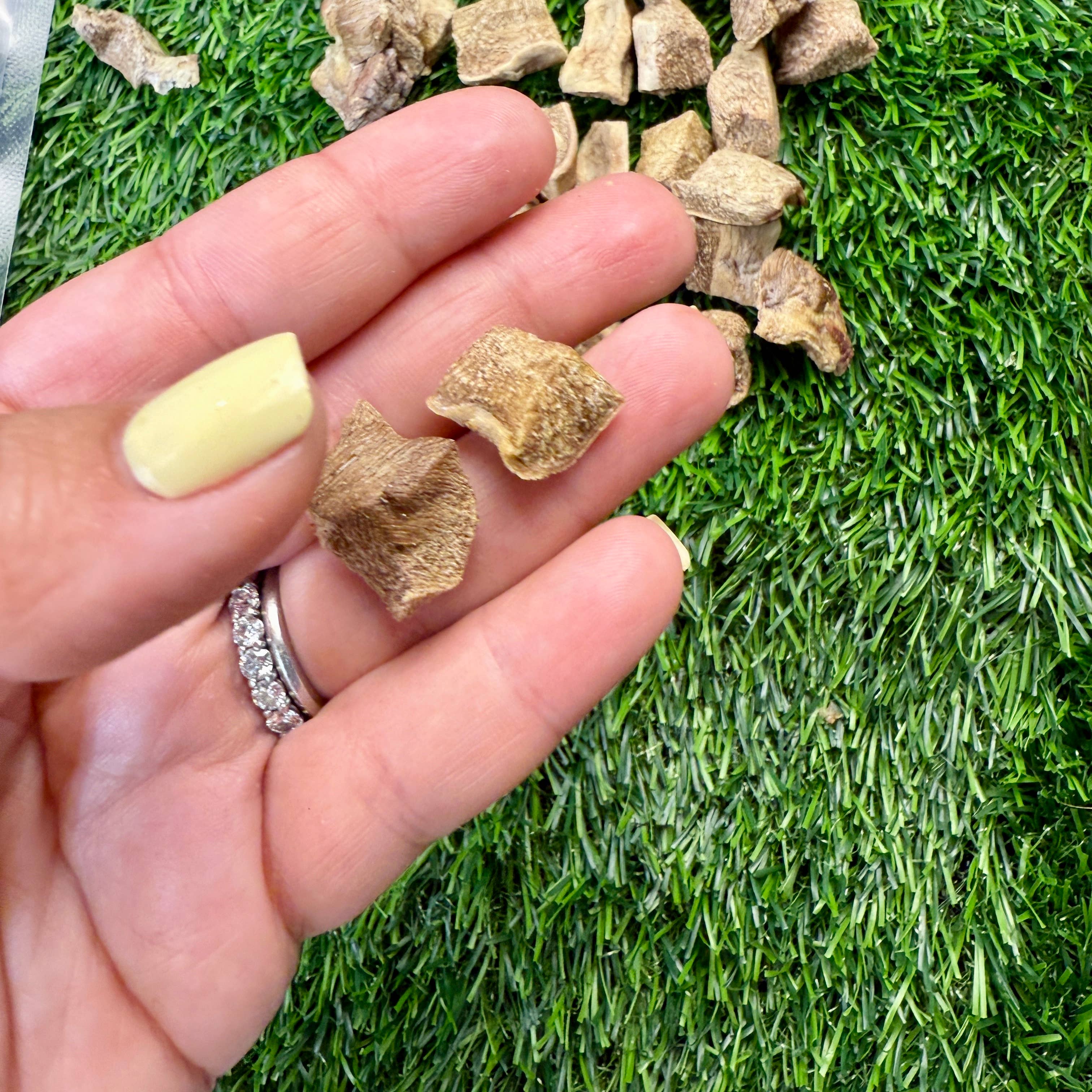 Golden Nibbles - Wholesale Pet Treats - Dog - Pork Tongue - 3oz Bag - Freeze-Dried Treat for Dogs & Cats2