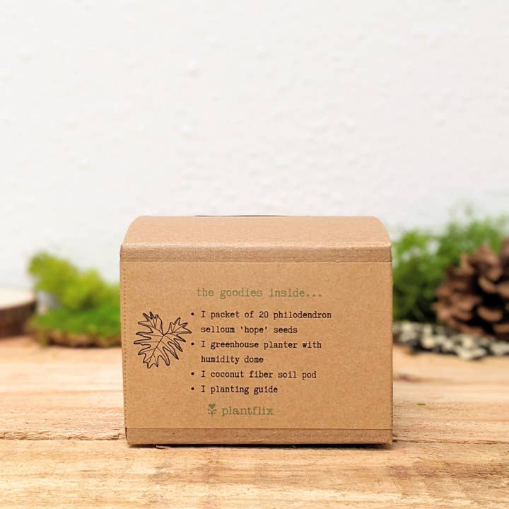 Plantflix - Wholesale Plant Seeds - Houseplant Seed Kit 17