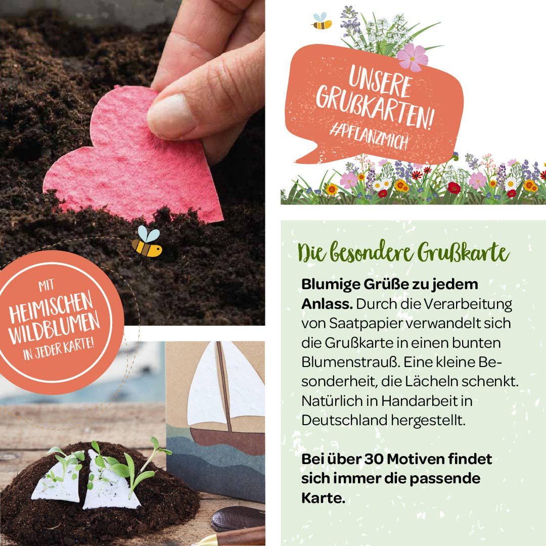 TDJ Stadtgärtner GmbH – wholesale Kärlekskort – Hälsningskort – låt kärleken växa2