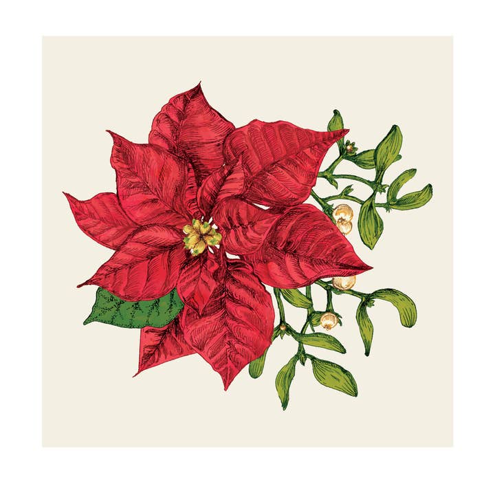 Poinsettia Cocktail Napkin - pack of 20 for wholesale by Hester & Cook - Stationery