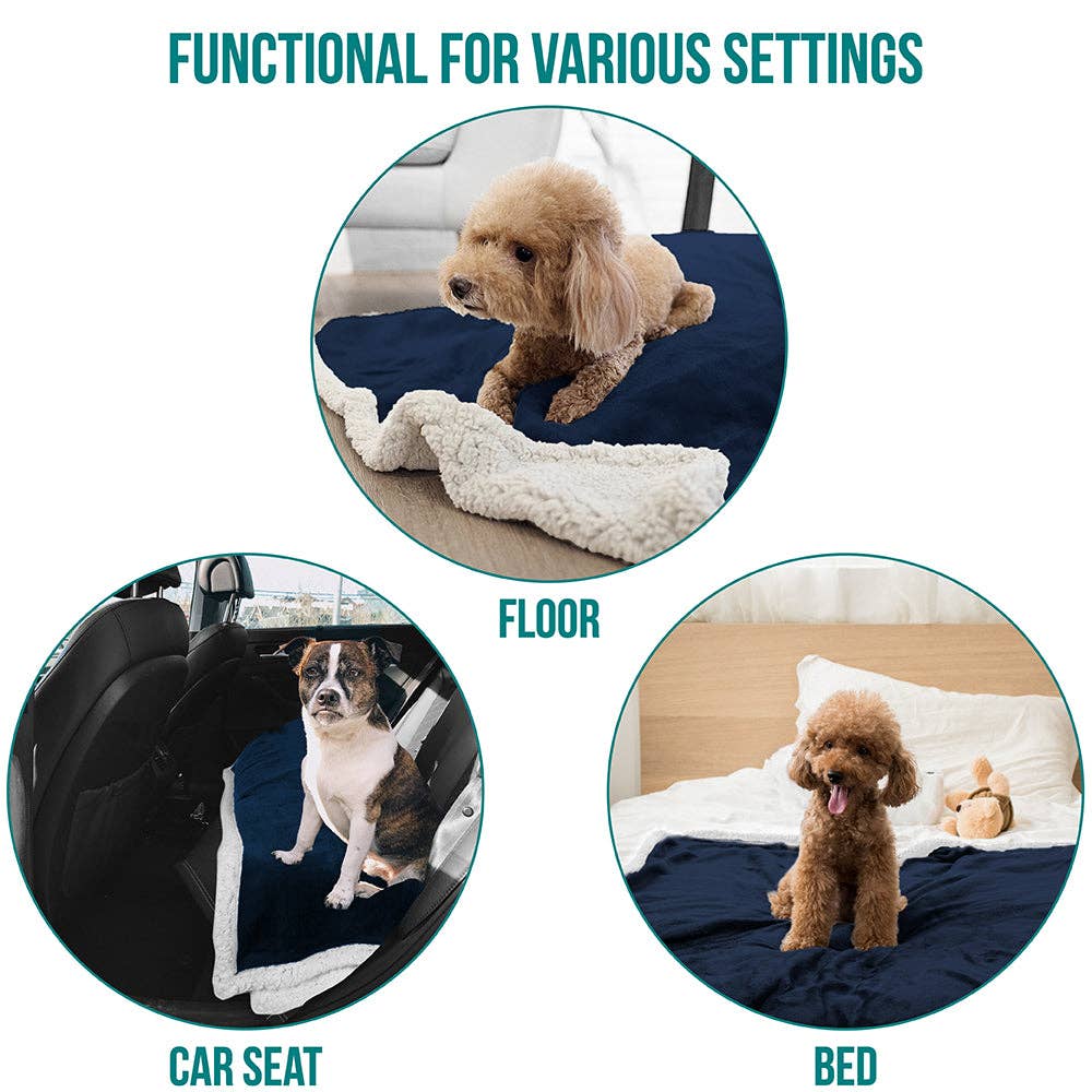 PetAmi - Vente Couverture – chat et chien - Couverture pour animaux en polaire réversible23