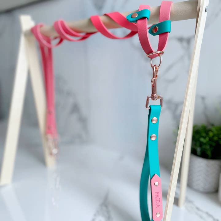 My Pawchella - Wholesale Pet leash – Dog - Multi-way Biothane/webbing lead31