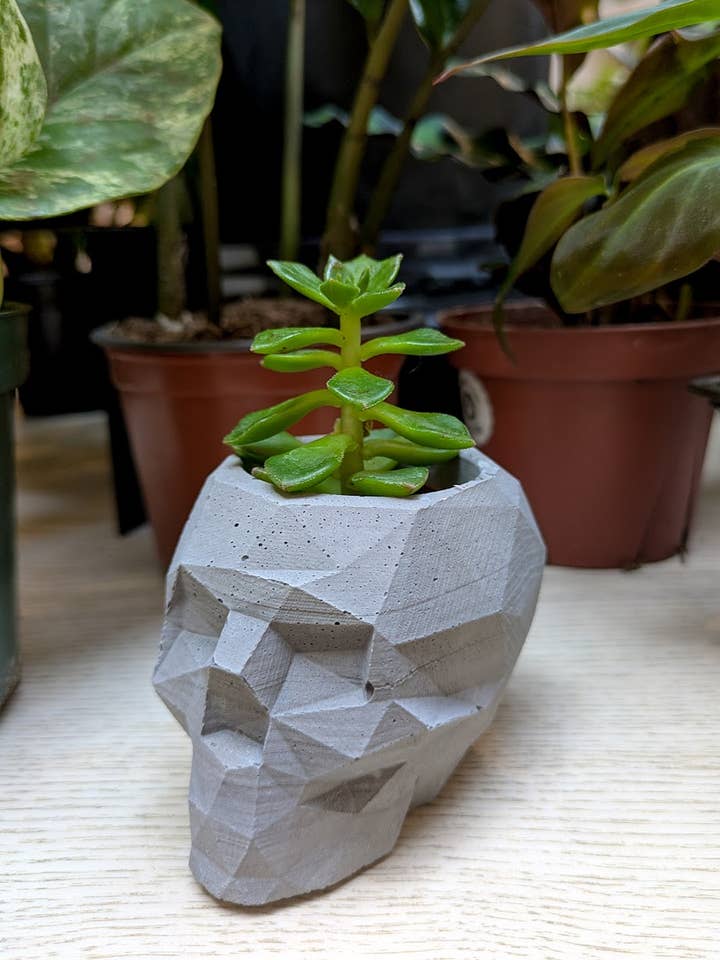 Geometric Skull Concrete Planter | Western Plant Decor for wholesale by The Plant Supply