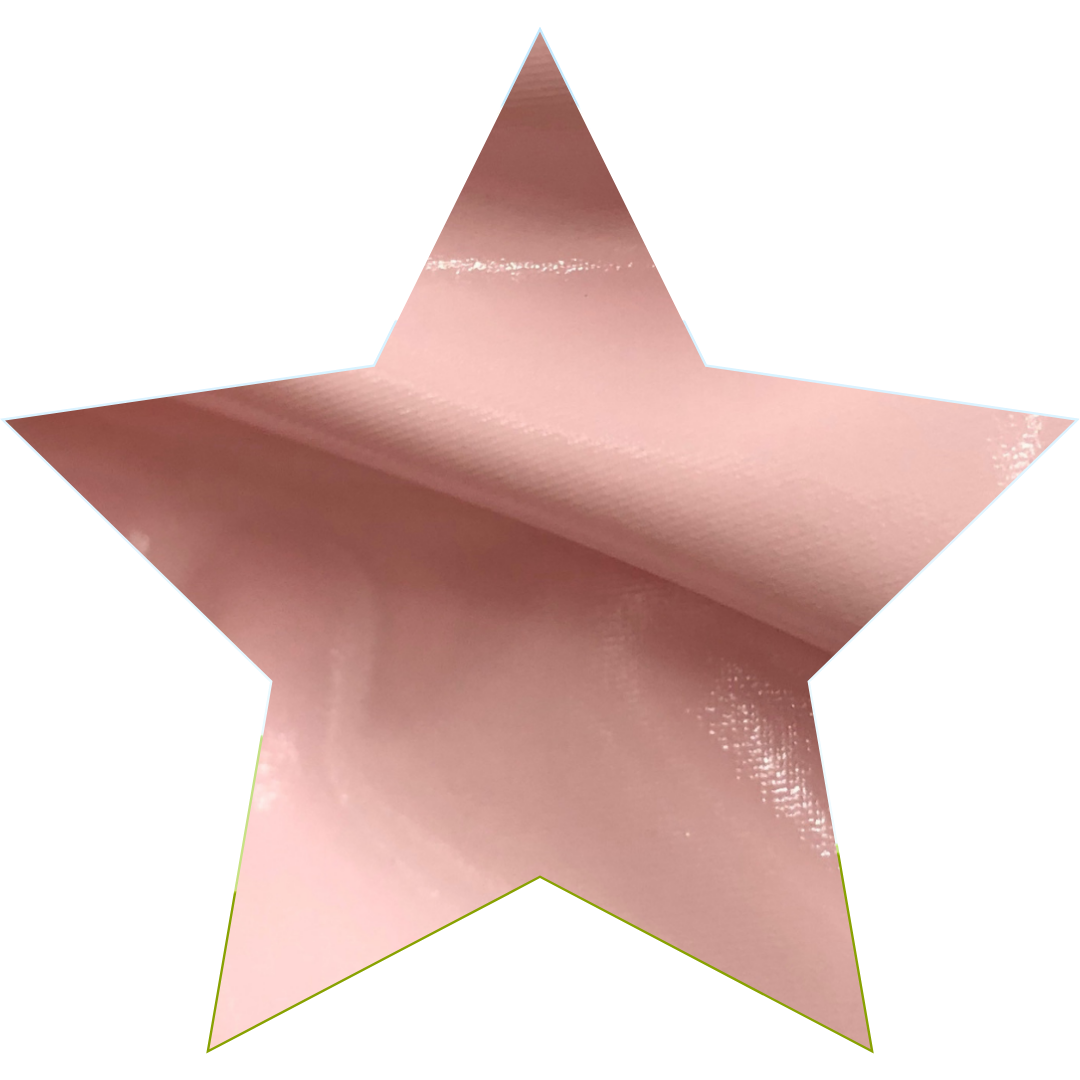 Candyland - Wholesale Two Piece Swimsuit - Women's - Bikini in Vinyl10