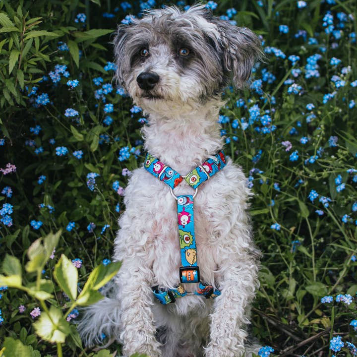 Max & Molly - Wholesale Pet Harness - Dog - Dog H-Harness - Little Monsters3