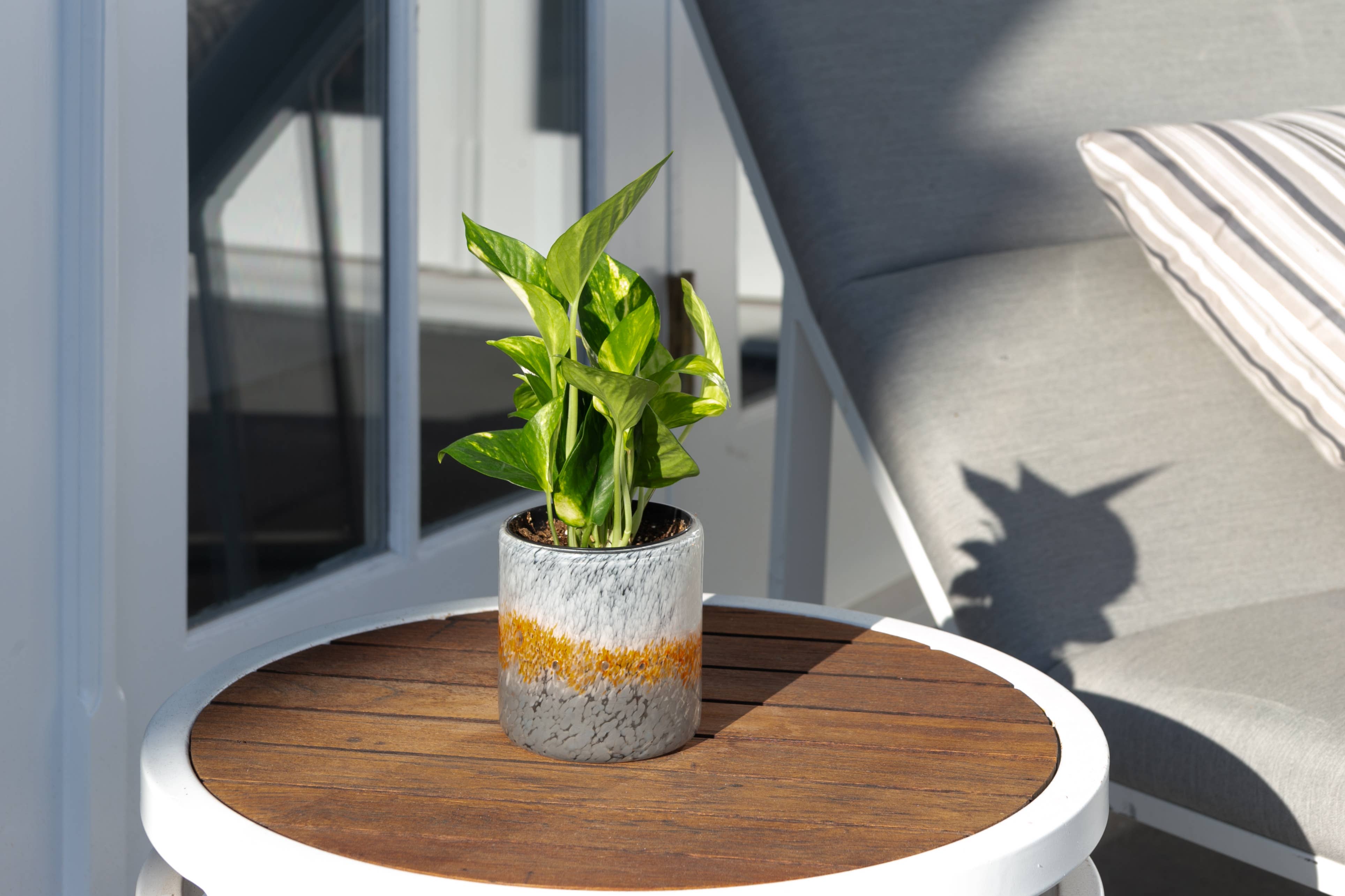 ApricotMint - Wholesale Plant Pot - 4.5" Wave Hand Blown Art Glass Planter8