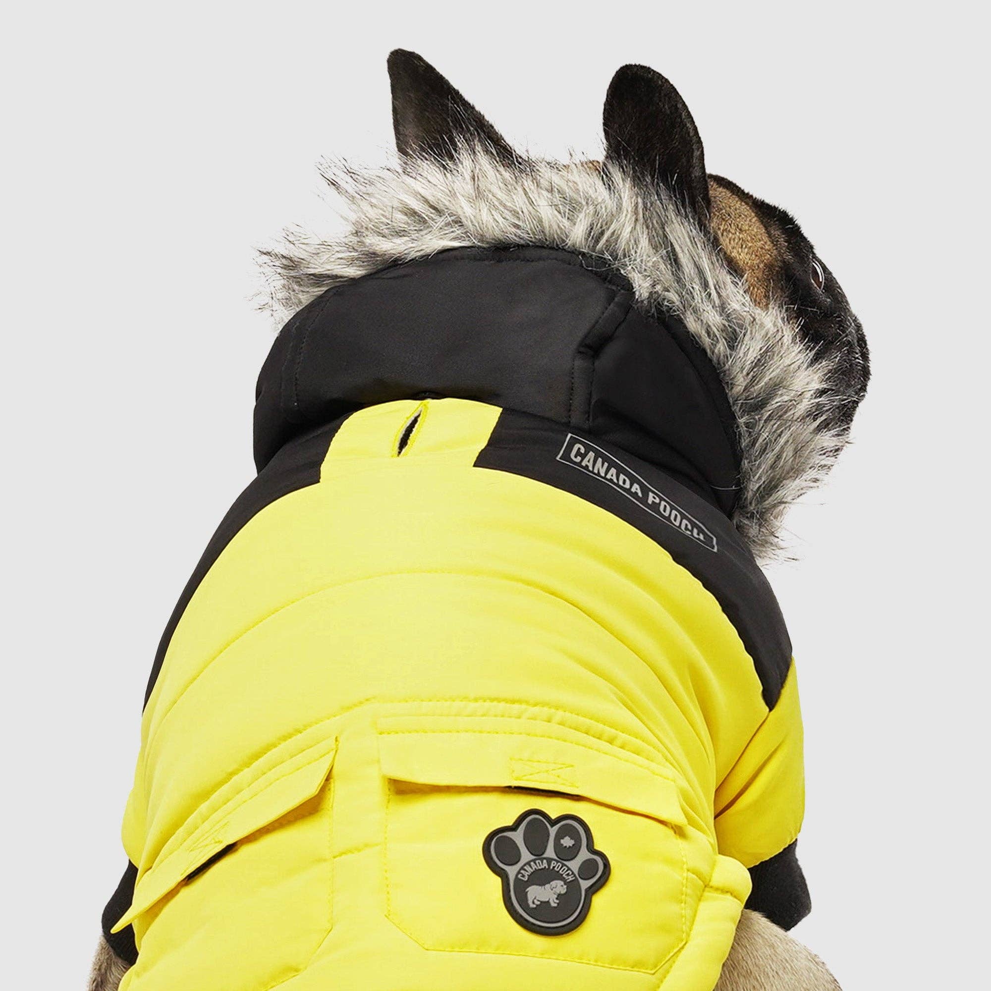 Canada Pooch - Vendita all'ingrosso Cappotto - Cani - Parka invernale True North per cani3